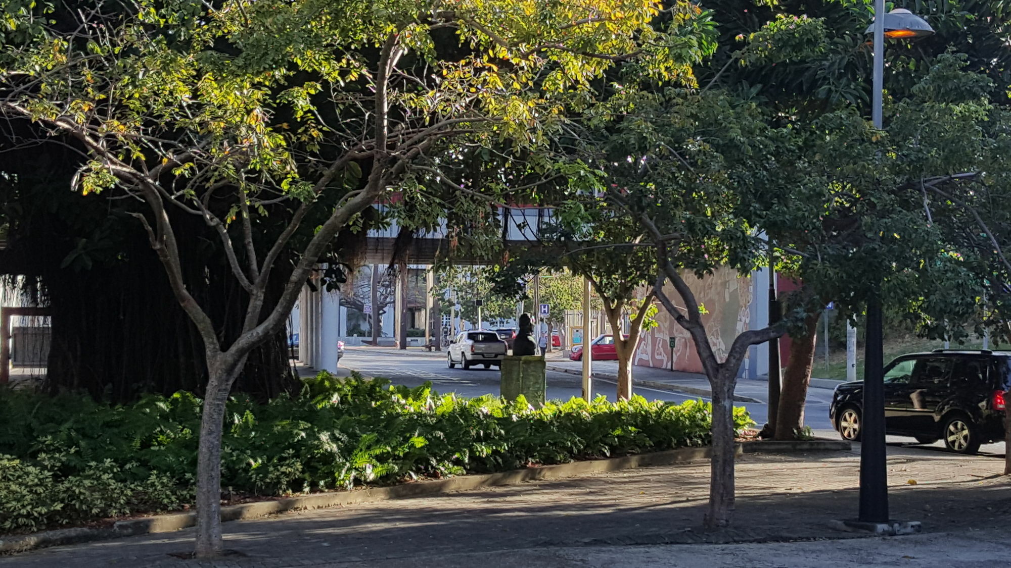 The Wave Hotel Condado San Juan Exterior photo